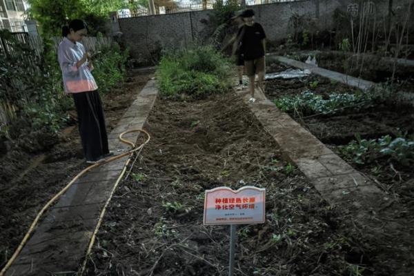 不信命？探讨如何强行改命背后的哲学与实践