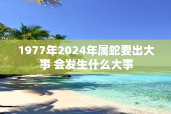 2025年属蛇的命运解析：探索你的性格与未来机会