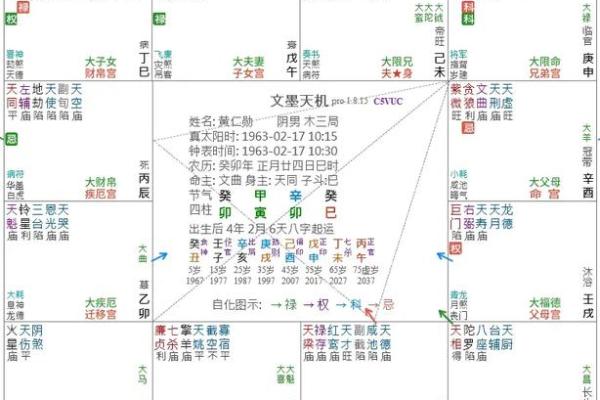 辛命与亥命的区别与命理解析：命运背后的深意探讨