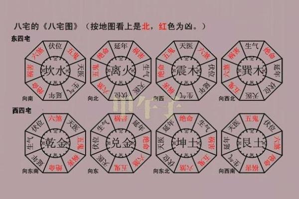 《龙行天地，沙中土命的智慧与力量》