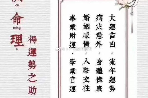 命理中的“命”与人生的流转与选择