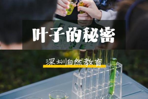 探寻尼姑命的秘密：她们生活的独特特征与背后的故事