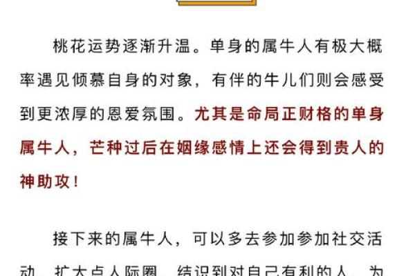 1991年出生的朋友，看看你属于哪个命理吧！