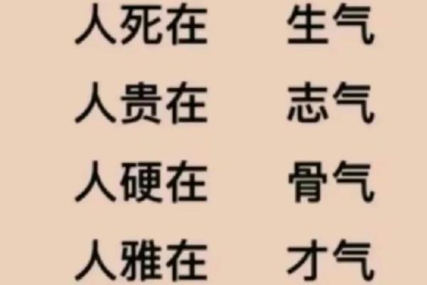 从贵命到贱命的转变：人生的无常与反思