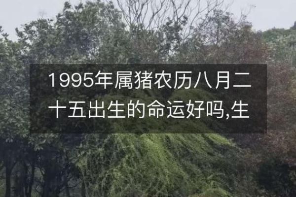 1994年正月23日出生的命运解析与人生指导