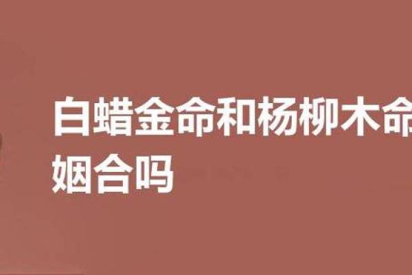 金命与木命：谁是最佳婚伴的理想选择？