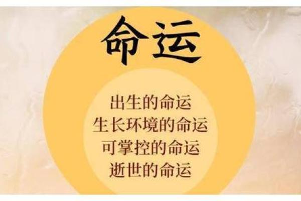 公子命与小姐命：探索命运之谜与人生态度