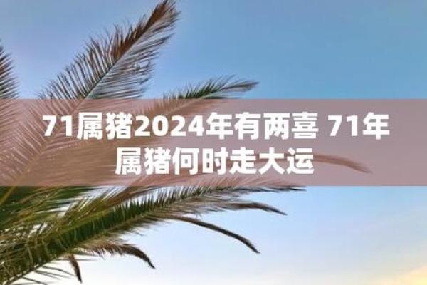 探秘属猪2017的命理特征与人生方向