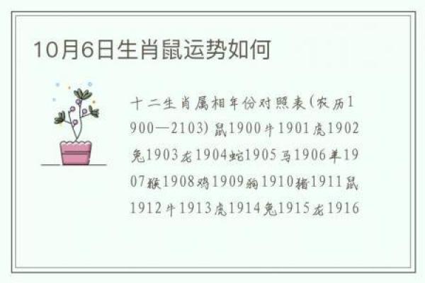 1984年属鼠的命格解析：探索命运的奥秘与潜力