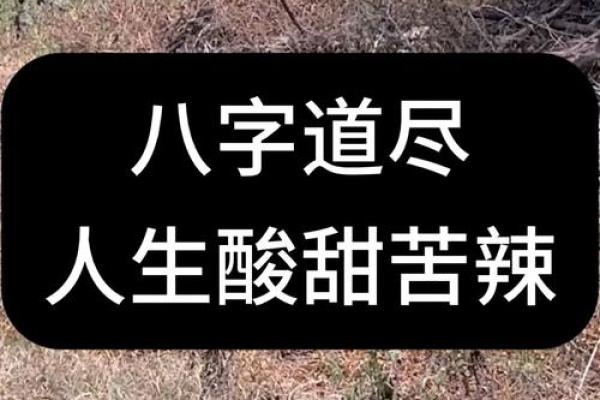 1995年属猪命运解析：理解八字与人生之道