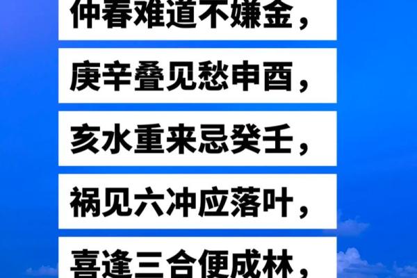 探寻命局的奥秘：圆命局与方命局的深刻解析