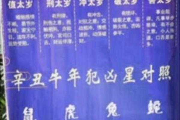 2022牛年运势解析：属牛人的命理与生活运程