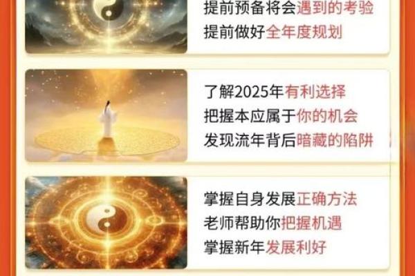 鼠年运势揭秘：2019年如何把握命运与机遇