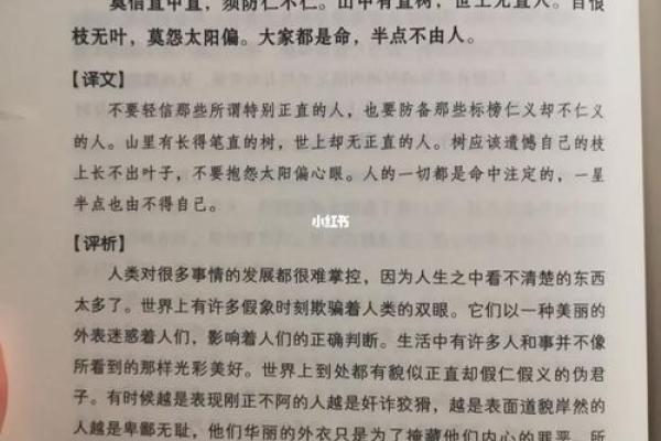 谋事在人，成事在天：解读成语背后的智慧与哲理