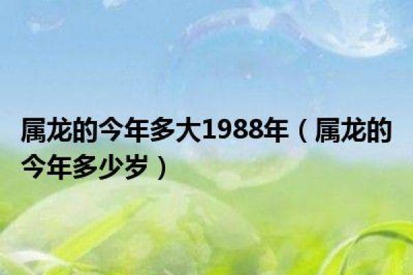 1953年属龙人的命运与性格分析：一窥龙年的魅力与挑战