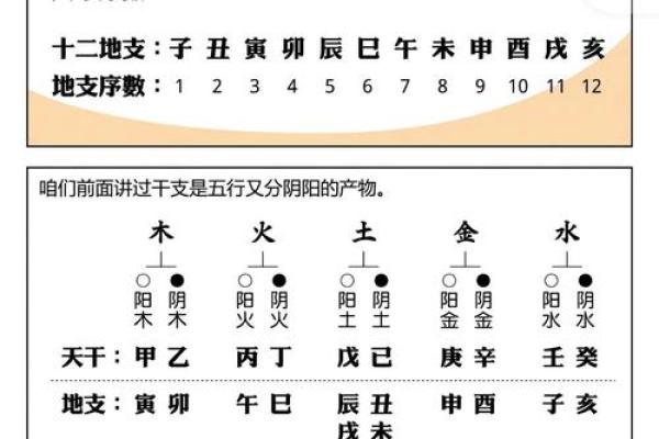 适合写字的命理解析：如何通过命理提升书法才能和文采