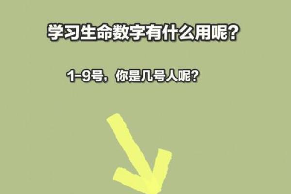 201999是什么命运：探寻藏在数字背后的深层意义