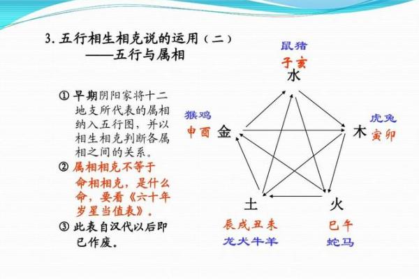 属鸡的火命：掌握命理，缺什么生肖才能助运？