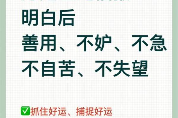 1995年属猪的命运解析：把握机遇与挑战的智慧人生