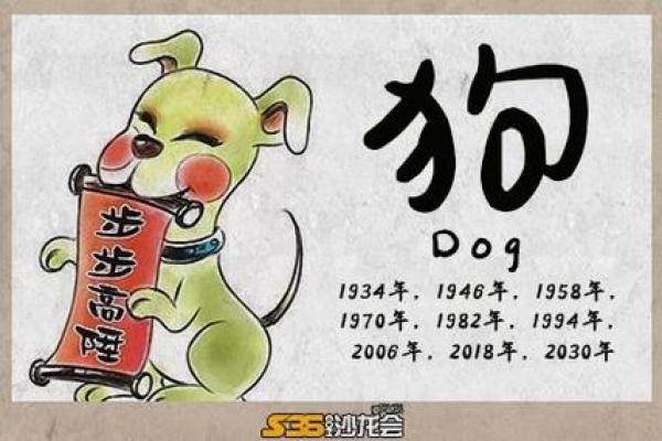 探索1994年属狗人的命运与性格特征