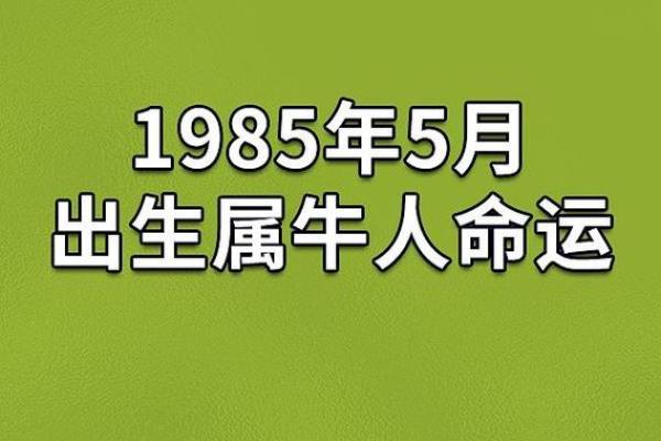 1946年属什么命？揭秘这一年出生者的命运与性格特征