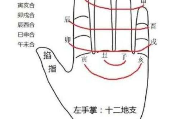 解密女命中忌合财的奥秘与命理智慧