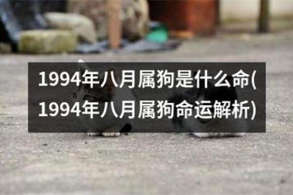 1994年出生的人：命运与个性解析