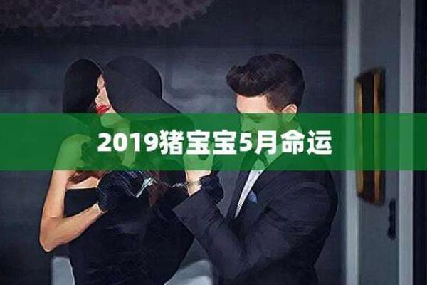 2019年10月出生宝宝的命运与性格特点分析