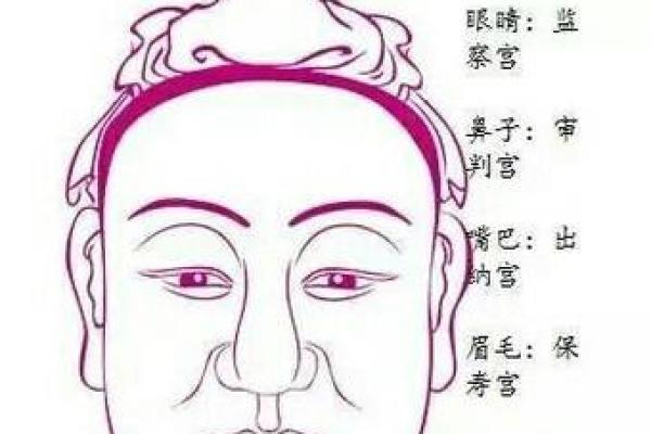 眼睛发黄的象征与命理解读：从相学看你的命运