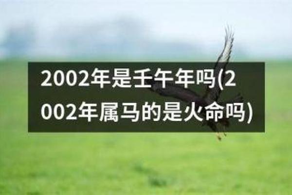 2002年出生的人属什么？揭秘属马人的命运与性格！