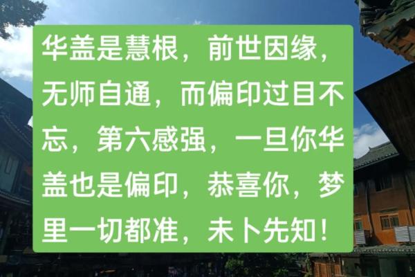 深入解析猪年命理：2019年不同命格的运势与人生指南