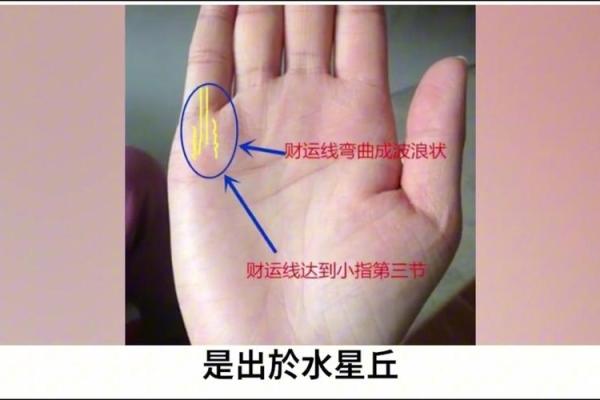 手相揭秘：半圆形掌纹带来的命运启示与人生哲学