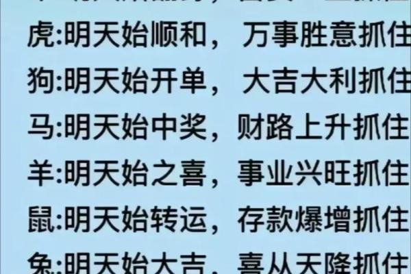 2023年：命运之年的转折与机会，解读十二生肖的启示