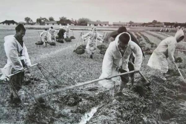 1985年出生的命运解析：探寻缺失与补救之道