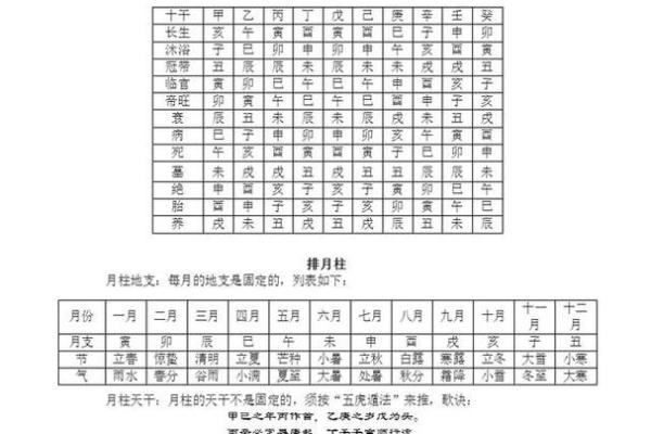 解析骨重2.6的命理特征，让你了解自己的命运轨迹