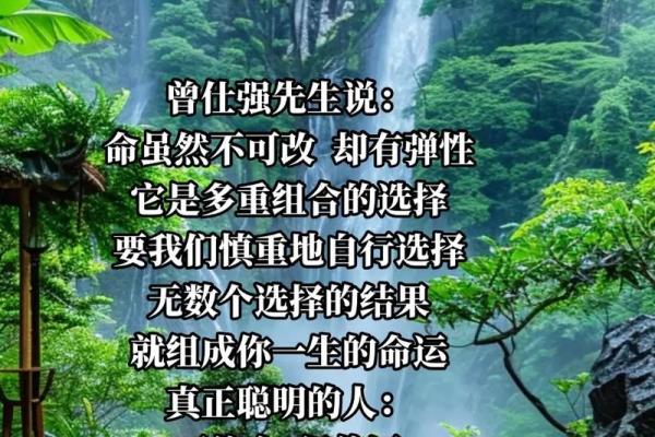 命运的选择：入命与不入命的深层含义与区别