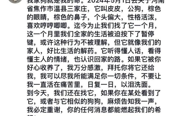 1994年狗木命解析：了解你的命格与人生轨迹