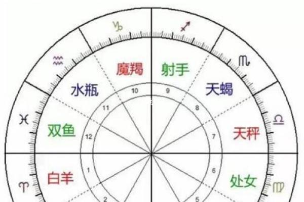 水命与木命的生克关系探秘：为何它们不易相融？