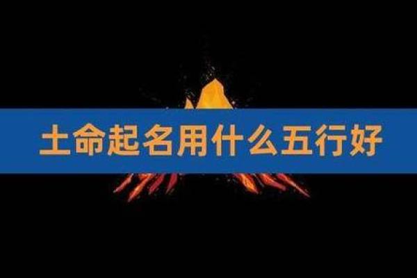 探秘五行：木命与土命的星宿对话与命理启示