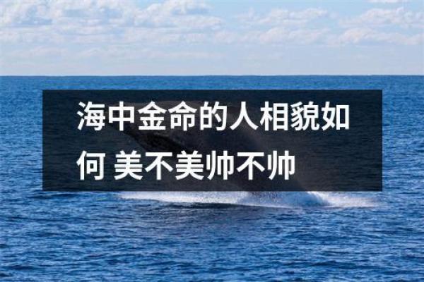 海中金命与其他命型的吉祥搭配解析