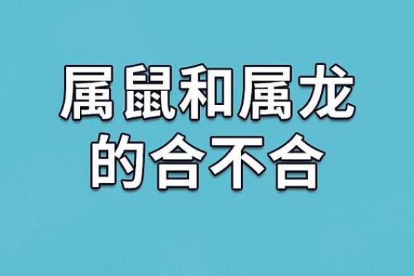 49年属牛人的命格分析：土命与其他命格的关系