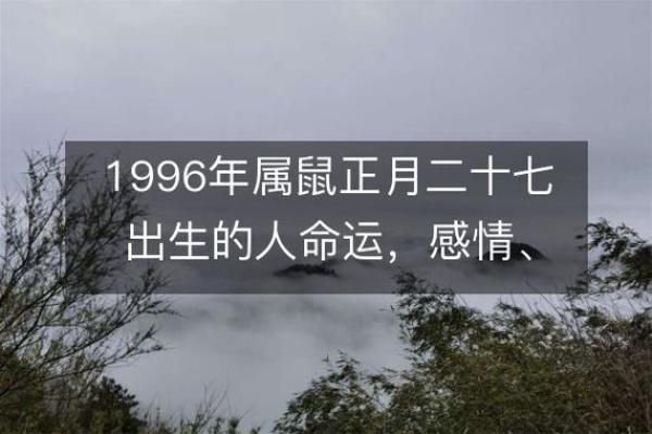 1996腊月出生的人的命运与性格解析