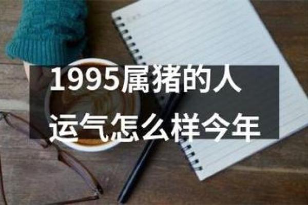 1995年属猪的命运解析：从性格到事业，如何逆袭人生？