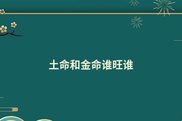 土命与金命人适合的生意类型探讨