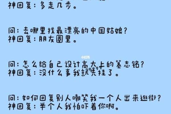 探索“妈娄的命也是命”：生活中的幽默与无奈