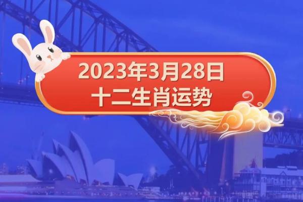 2023年父子系列：看生肖如何影响命运与人生选择