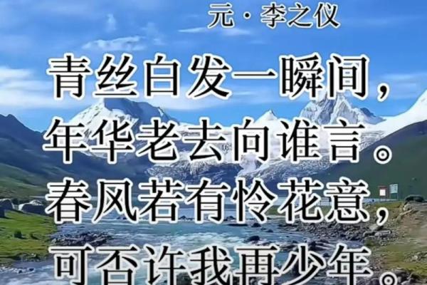 探寻命字的奥秘：为何在中文中无同音词？