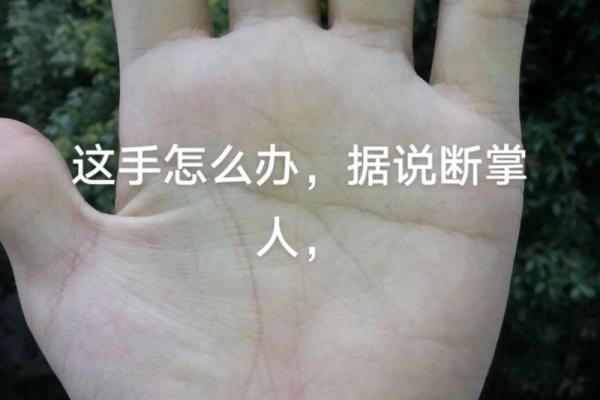 断掌男生的命运解析：揭开手相背后的神秘面纱