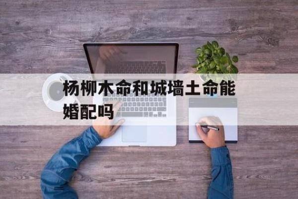 木命之人适合生什么宝宝？揭开木命与运势的奥秘！