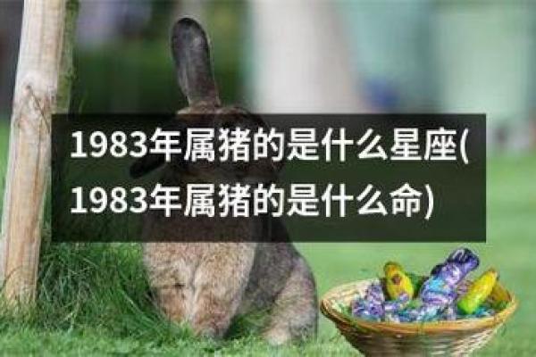 1994年属猪人的命运与性格解析